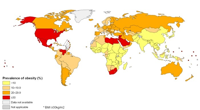 world obesity map
