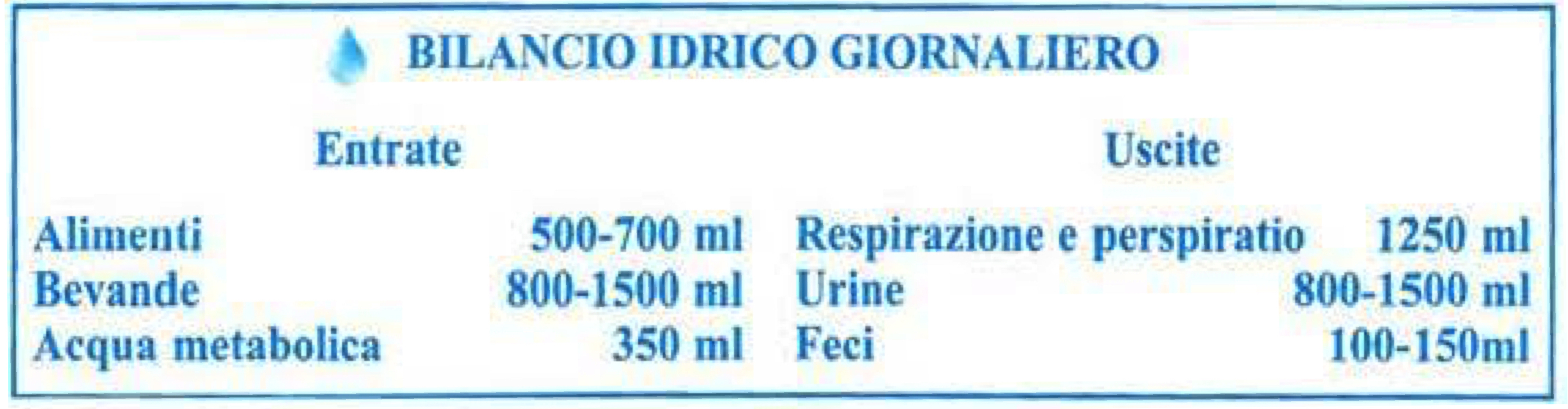 acqua giornaliera