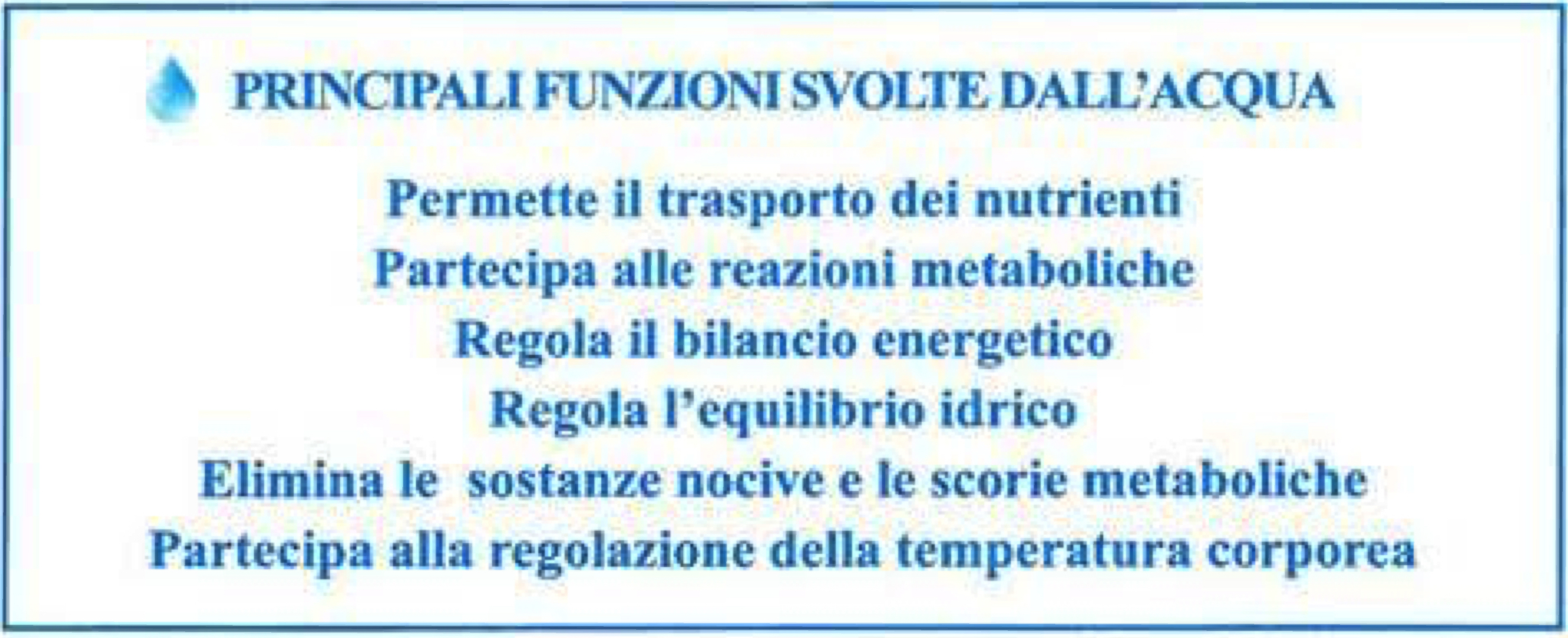 funzioni dell'acqua